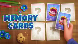 Memory Cards